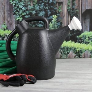 Chapin 2-Gallon Tru-Stream Outdoor and Indoor Plastic Watering Can